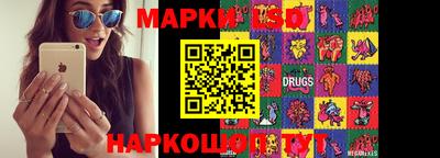 гидропоника Аша