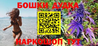 гидропоника Аша