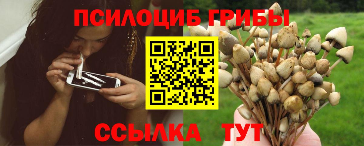 Псилоцибиновые грибы GOLDEN TEACHER  Вход с VPN  Ишим  Галлюциногенные грибы мицелий 