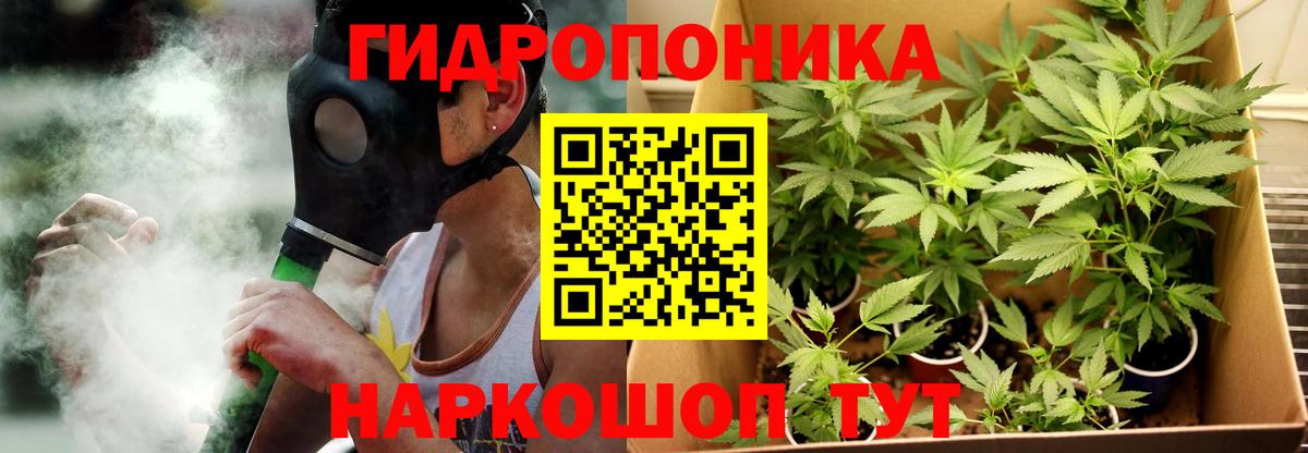 Бошки Шишки Amnesia Ишим